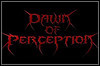 Dawn Of Perception