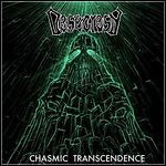 Desecresy - Chasmis Transcendence